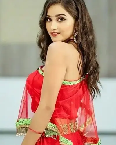 Escort In Shujalpur